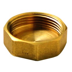 FIG 300 - Bouchon en fonte malléable, Femelle, Laiton