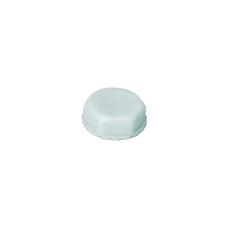 5529 - Bouchon Femelle en PA 6-6 - raccords et adaptateurs BSPP